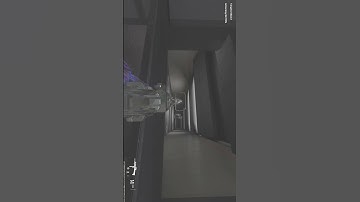 THE NEW META SUBMACHINE GUN IS THE WSP-9 💀💀💀#BULLYBALL