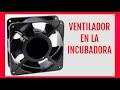 Ventilador para incubadora casera.