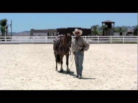 Teaching your horse to stand still while mounting