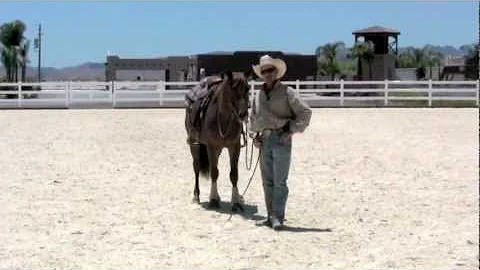 Teaching your horse to stand still while mounting