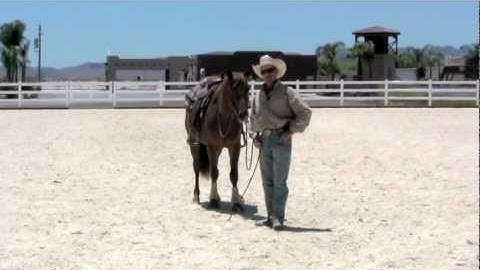 Teaching your horse to stand still while mounting