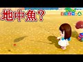 【あつ森】土の中に魚影！？ぎょええええ！！【あつまれどうぶつの森】