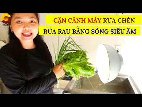 Video [HOT] CẬN CẢNH MÁY RỬA RAU QUẢ - MÁY RỬA CHÉN 2IN1 CHO... - youtube