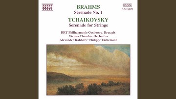 Serenade for String Orchestra in C Major, Op. 48, TH 48: III. Elegie