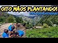 OITO MÃOS PLANTANDO!🖐️