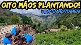 OITO MÃOS PLANTANDO!🖐️