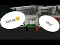 Мой утренний день с каким-то котом в #brookhavenRP