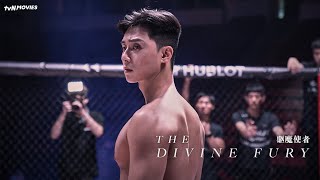 The Divine Fury Tvn Movies