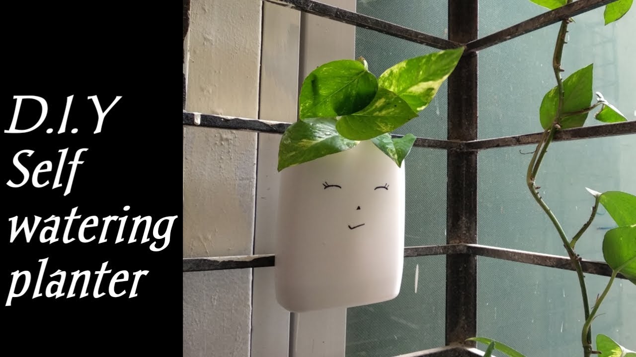 Self watering planter D.I.Y|Upgrade waste bottle to beautiful self