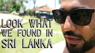 look what we found in SRI LANKA