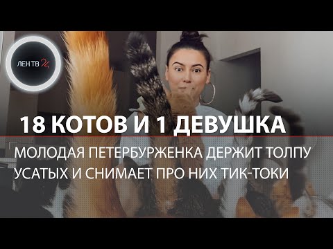 18 котов живет у петербурженки в квартире | Видео