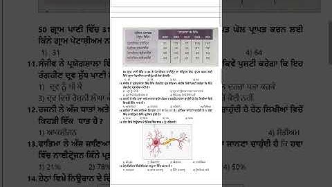 CEP | WORKSHEET 4 | 2025-26 | CLASS 9TH | SCIENCE | PUNJABI MEDIUM | FULLY SOLVED