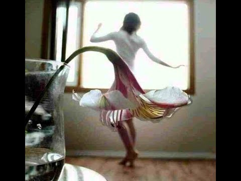 Как зарядится Вдохновением каждый день для счастья и успеха