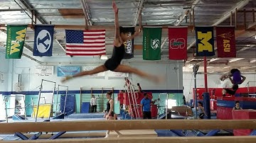 Switch Leap Switch 1/2