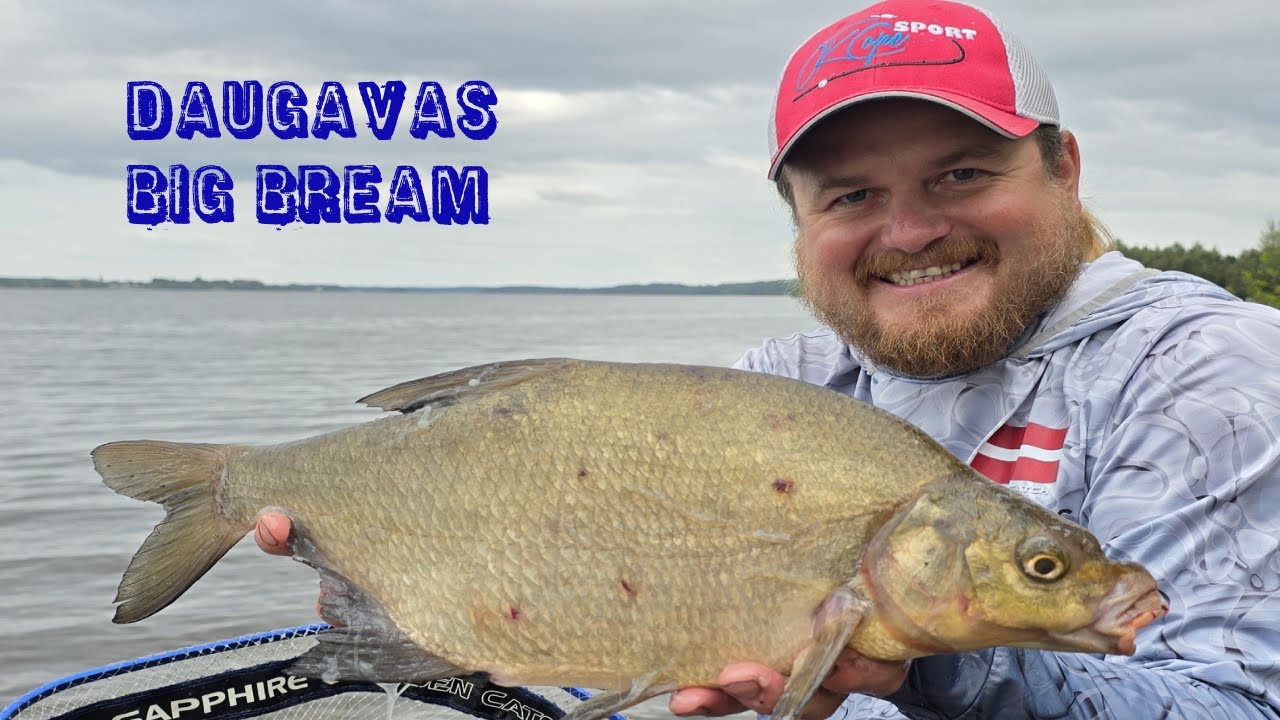 Daugava, diezgan aktīva un veiksmīga cope. Dipiņi palīdzēja, tieši ar lielākajiem eksemplāriem.