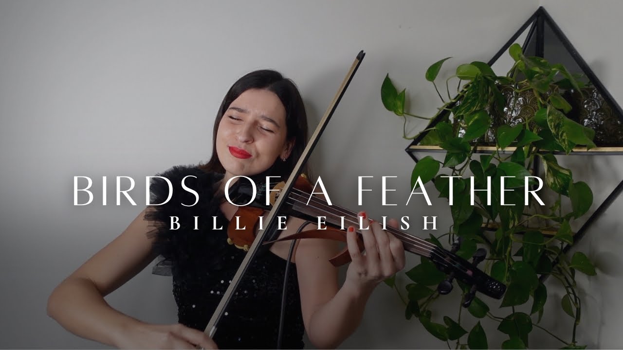 Birds of a Feather - Billie Eilish - Barbara The Violinist - Violin Cover Birds of a Feather - Billie Eilish - Barbara The Violinist - Violin Cover