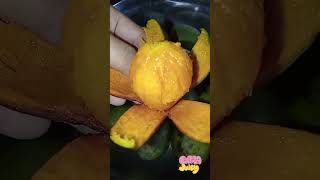buah kasturi yang hampir punah🥭😌 #buahkasturi#buahpellipisan