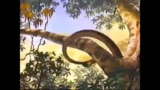 El Libro De La Selva 1 Walt Disney Plus 28 Pelicula