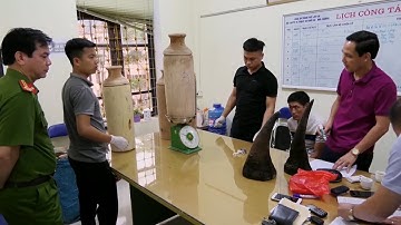 Bắt giữ 2 đối tượng vận chuyển hơn 20kg sừng tê giác tại Lào Cai