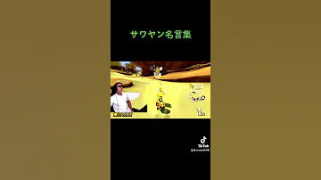サワヤン名言
