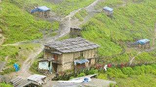 Happy Nepali Mountain People Life in Highland || Very Peaceful and Relaxing || IamSuman