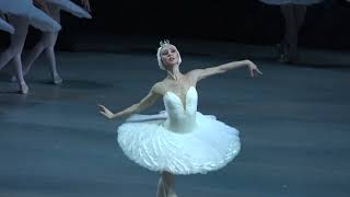 Ekaterina Osmolkina (Mariinsky Ballet) in Swan Lake