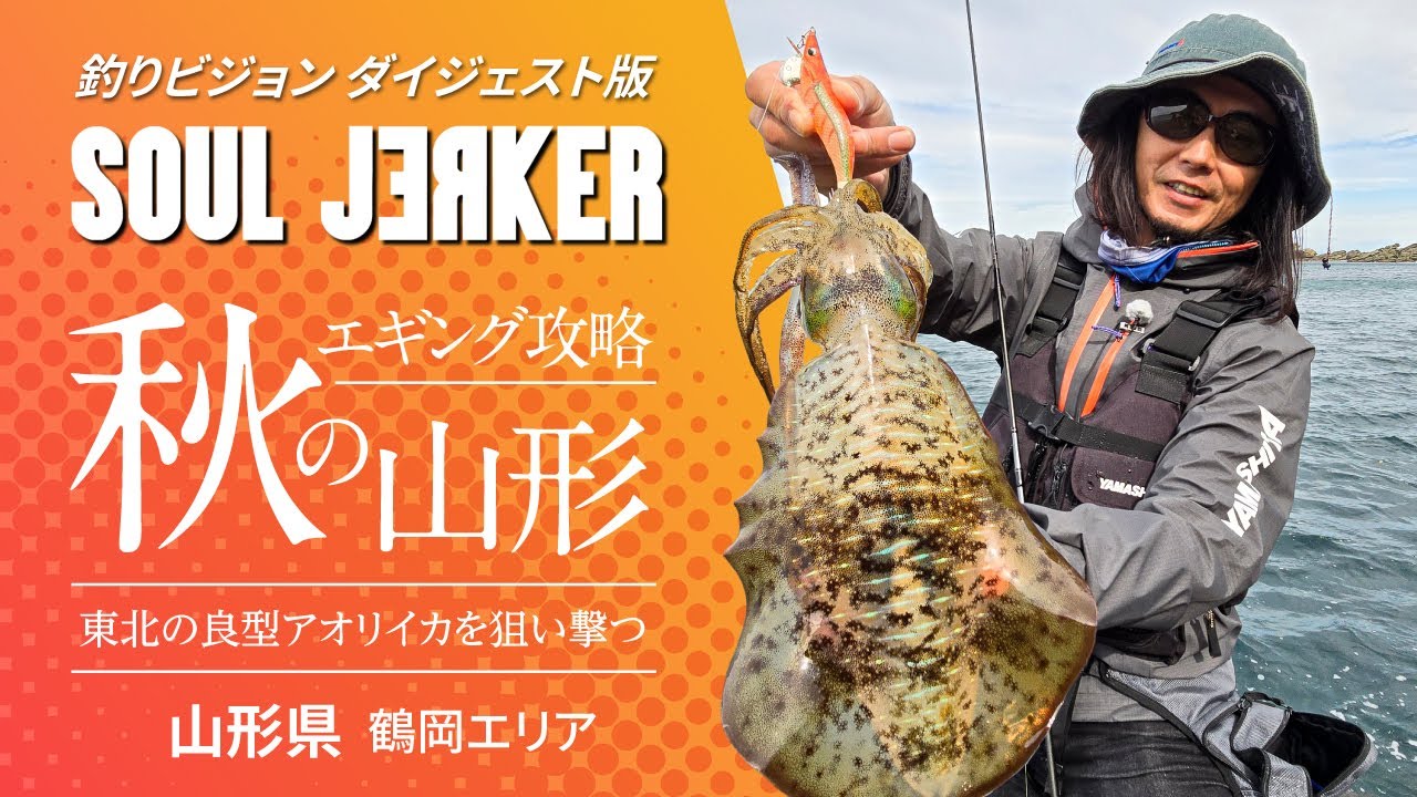 SOUL JERKER 24 山形・鶴岡エリア ～秋エギング｜アオリイカの
