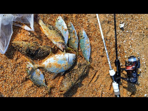 Memburu Spesis Ikan