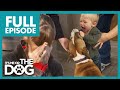 Victoria shocked by family abusing their dog  full episode  its me or the dog