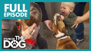 Victoria Shocked by Family Abusing their Dog! | Full Episode | It