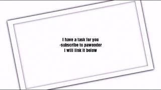 Subscribe To Pawonder Now We Have To Reach 100K