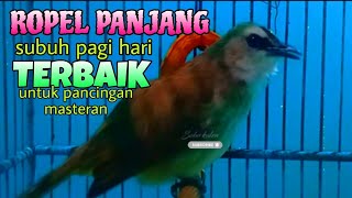TRUCUKAN GACOR ROPELAN TERBAIK UNTUK PANCINGAN MASTERAN