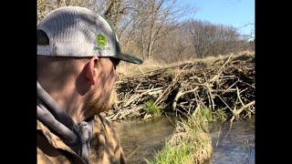 Beaver vs Badger: Dam Removal