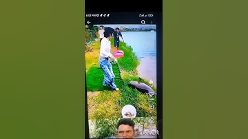 Easy Magic: Instant Card Swap Will Shock You#music #titel #video