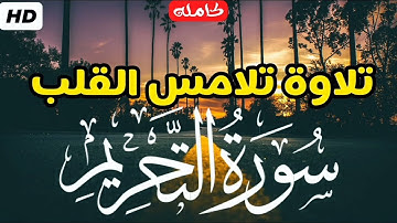 سورة التحريم بصوت يريح النفس - SURAH AT TAHRIM