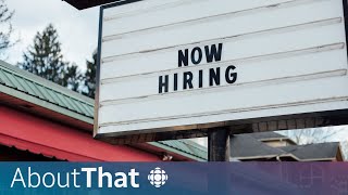 3 things to know about Canada’s latest job numbers | About That screenshot 2
