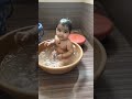 cute baby Yun To Hai Tu Nanna Sa #viralvideo #cutebaby #shortvideo