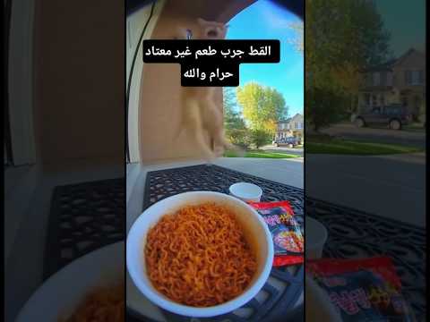 طعم الحار     جمعة مباركة اكسبلور معجزات  المصحف ضحك
