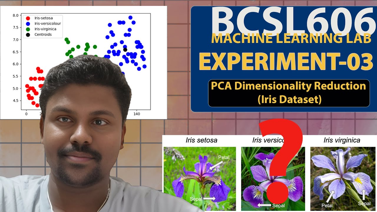 Effortlessly reduce Iris dataset from 4 to 2 dimensions using PCA in ...