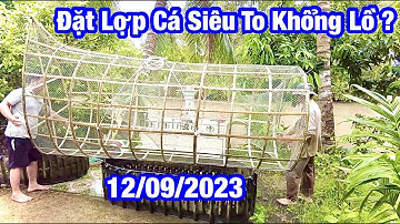 Đặt Lợp Cá Siêu To Khổng Lồ | hoàng nam hậu giang