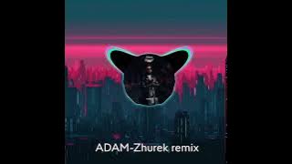 ADAM-Zhurek remix