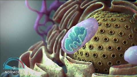 “Mitochondrial Matrix Animation | Explore Cell Powerhouse in 3D Science Visuals” electron transport 