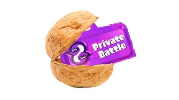 Splatoon 2 Private Battle in a Nutshell