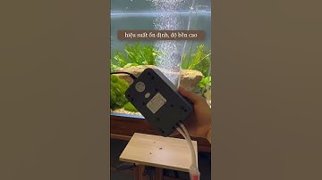 Sủi Oxy Bể Cá Cherlam Hoạt Động Êm Ái, Độ Bền Cao #suioxy #cácảnh #becathuysinh