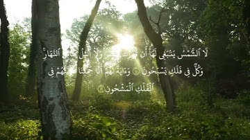 تلاوة خاشعة جدا 🌿لسورة يس كاملة🌿 بصوت جميل جدا 🌿للقارئ الشيخ سعود شريم🌿 قرآن كريم 🌿