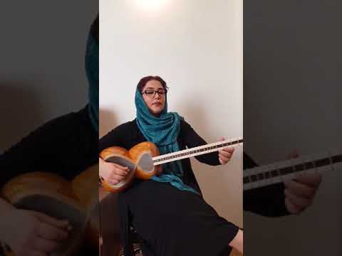 تارنوازی آزاده امیری تصنیف زفرودین اثر یحیی زرین پنجه و شعر محمدتقی بهار