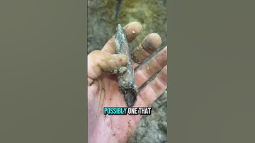 Make sure to hit up @PalmettoFossilExcursions to f