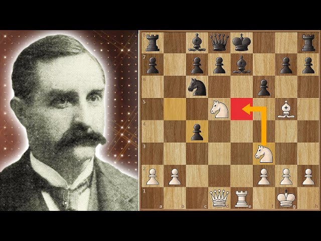 CHESS and Game of Life — Steemit