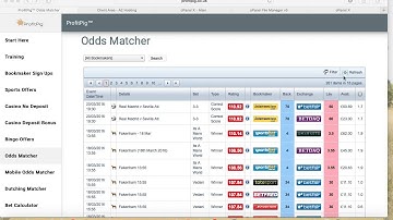 How to use the ProfitPig oddsmatcher