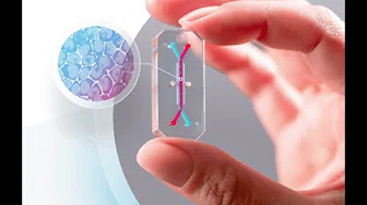 Emulate - Organ on Chip Technology